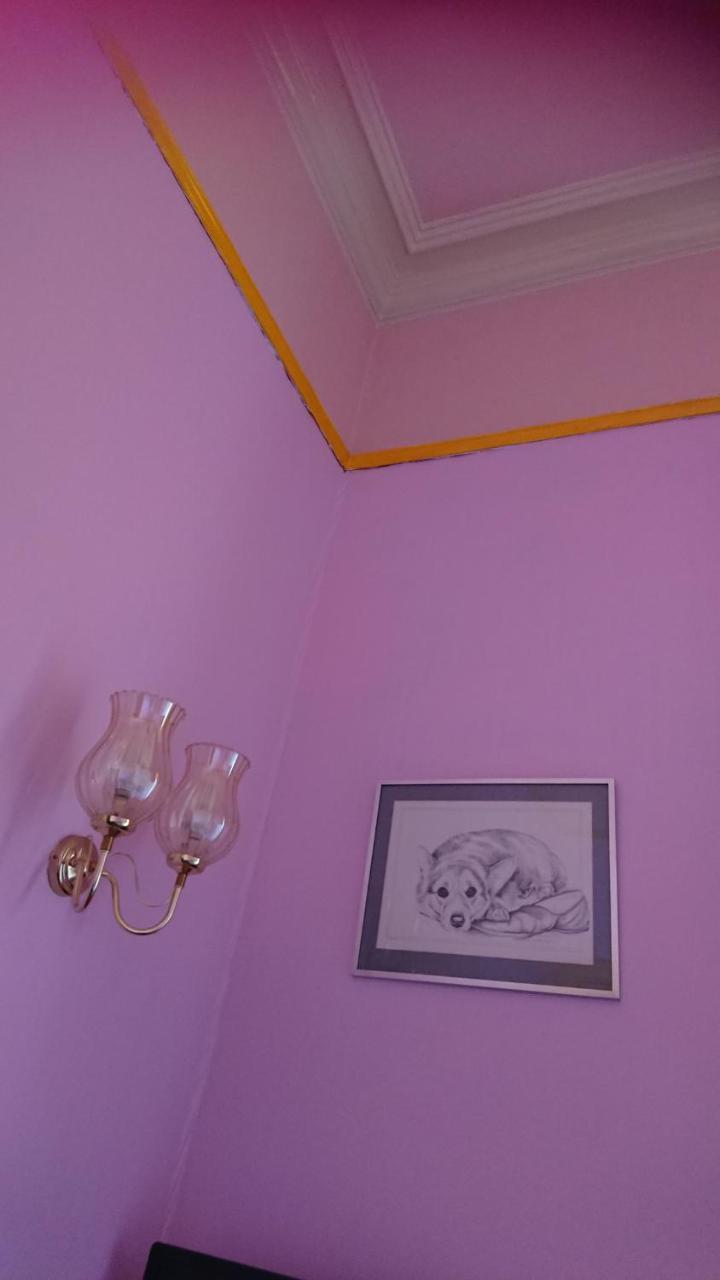 אדינבורו Swan Lake Guest House מראה חיצוני תמונה